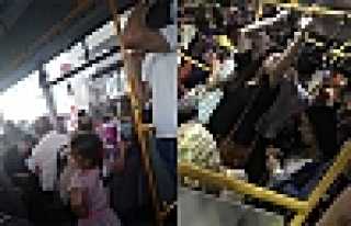 BU ŞİKÂYET HALK OTOBÜSLERİNDEN