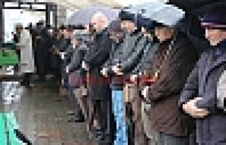 BÜLBÜL AİLESİNİN ACI GÜNÜ