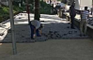 Çamlıca Köseköy Mezarlığına Bakım