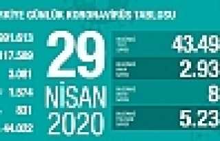 Can Kaybı 3081, Vaka Sayısı 117 Bin 589