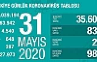 Can Kaybı 4540, Vaka Sayısı 163 Bin 942