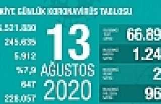 Can Kaybı 5912, Hasta Sayısı 245 Bin 635