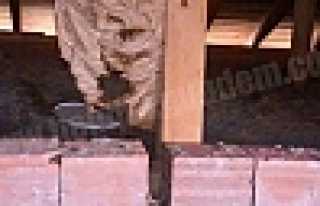 ÇATI ARASINI İSTİLA EDEN ARILAR HAYRETE DÜŞÜRDÜ