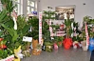 Çiçeklerle Engeller Kalkacak