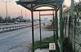 ÇİLE VATANDAŞ ÇİLE