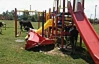 ÇOCUK PARKIMI, HAYVAN PARKIMI 