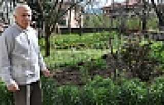 ÇOLAK, TAPULU ARSAMA BİRİLERİNİ ORTAK ETTİLER