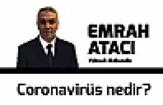 Coronavirüs nedir?
