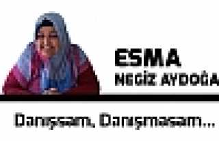 Danışsam, Danışmasam...