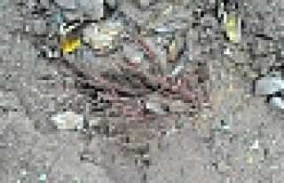 DEREKÖY MAHALLESİNDEN TELEKOM'A ÇAĞRI