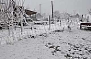 DİKMEN BEYAZA BÜRÜNDÜ