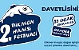Dikmen Hamsi Festivaline Davet