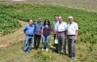 DİKMENDE PLANLAMA VE İNCELEME ÇALIŞMALARI