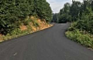 DİKMEN’E ULAŞIM ARTIK DAHA RAHAT