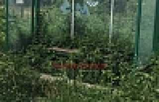 DURAKLAR SERA’YA DÖNDÜ