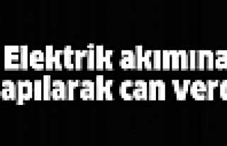 ELEKTRİK AKIMINA KAPILARAK CAN VERDİ