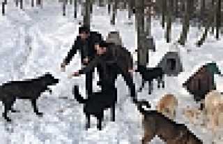 Elleriyle Beslediler