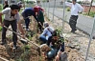 FİDANLAR TOPRAKLA BULUŞTU