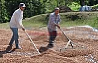 FINDIĞINI SATMAYAN PİŞMAN OLDU