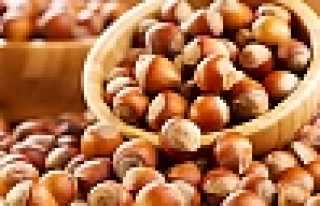 FINDIK DESTEK DİLEKÇELERİ DAĞITILMAYA BAŞLANDI