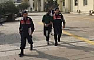 Fındık Hırsızları Yakalandı