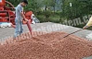 FINDIK’TA DESTEKLEME DEVAM EDECEK