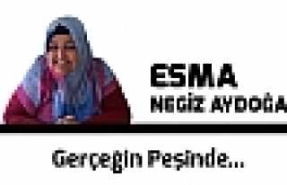 Gerçeğin Peşinde...