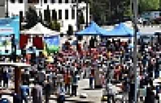 Gönüllerince Eğlendiler