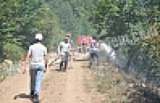 GÜNEY KÖYÜ’NDE KORKUTAN YAGINLAR