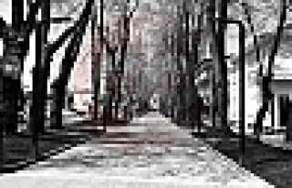 Hafta Sonu Sokağa Çıkmak Yasak