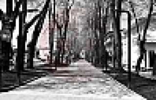 Haftasonu İçin Sokağa Çıkma Yasağı