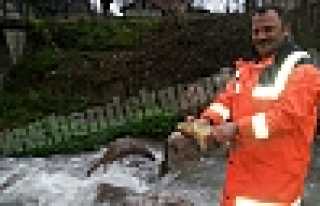 HAKUT DERNEĞİNDEN ÖRNEK DAVRANIŞ