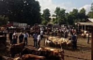 HAYVAN PAZARI, ŞAP HASTALIĞI NEDENİYLE KAPATILDI