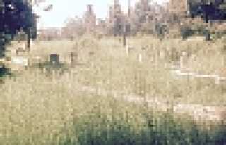 HENDEK AİLE KABRİSTANLIĞI TEMİZLENMEYİ BEKLİYOR