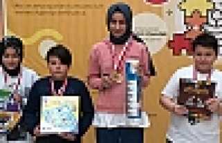 Hendek Akıl ve Zekâ Kulübü Türkiye Finallerinde