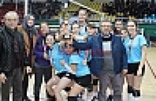 Hendek Anadolu ve Yenimahalle Şampiyon