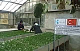 HENDEK FİDANLIK ŞEFLİĞİ 2014 YILI YENİ UYGULAMALARI