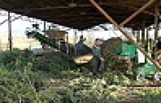 HENDEK FİDANLIK ŞEFLİĞİNDE GERİ DÖNÜŞÜM