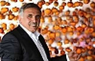 HENDEK HURMASI AMACINA ULAŞTI