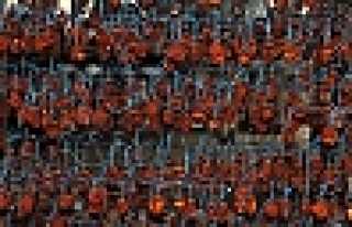 HENDEK HURMASI  DAĞITILACAK