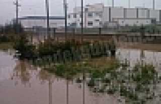 HENDEK OSB VE KARGALIDA SON DURUM