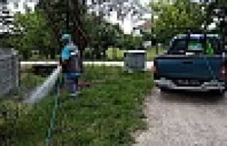 Hendek Sokaklarında Hummalı Çalışmalar 