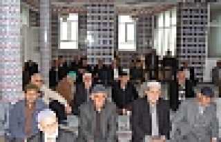 HENDEK YUKARI ÇALICA’DA SARIKIZ ANILACAK 