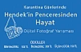 Hendek’in Penceresinden Hayat