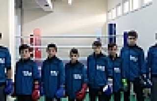 Hendekli Boksörler Turnuva Yolcusu