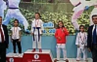 Hendekli karateciler Karasu’ya Damgasını Vurdu