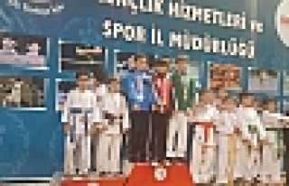 HENDEK’Lİ KARATECİLER TAKIM ŞAMPİYONU