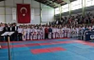 Hendekli Karatecilerden 55 Madalya