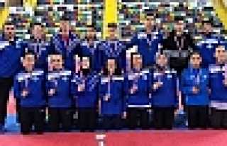 Hendekli Madalya Avcıları