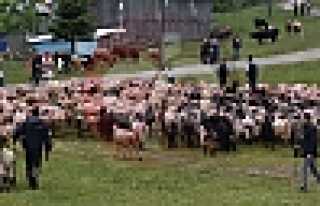 Hendek’te 113 Yıllık Yayla Göçü